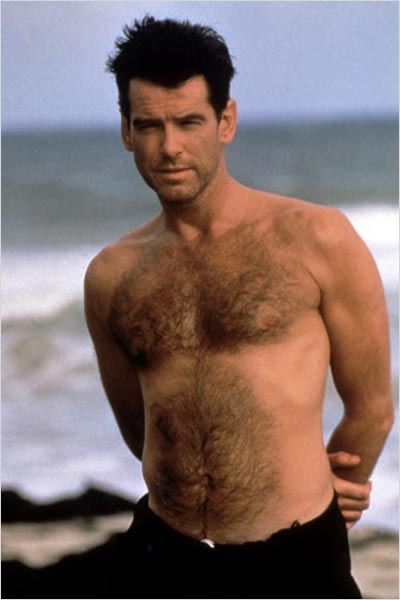 pierce brosnan gay